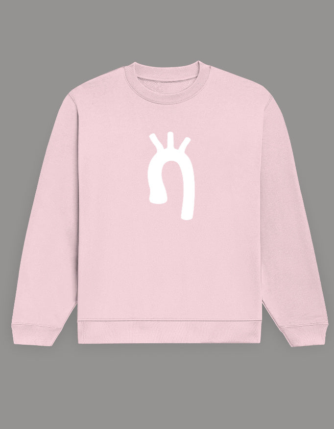 Light Baby Pink — Aortic Arch anatomy sweatshirt, front