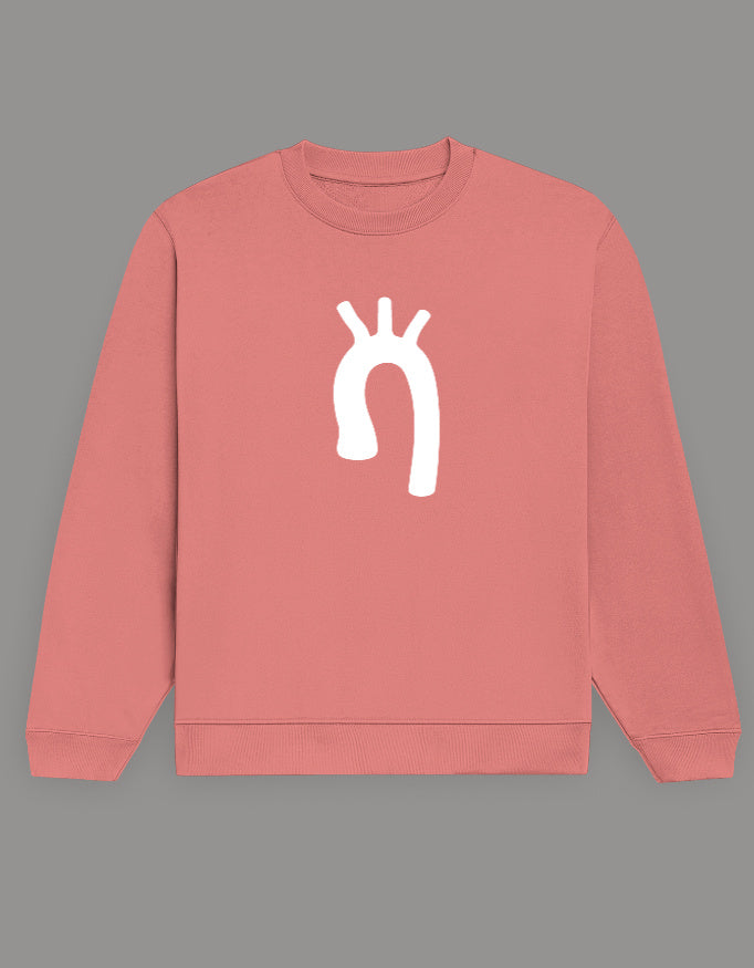 Coral — Aortic Arch anatomy sweatshirt, front