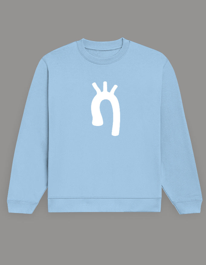 Baby Blue — Aortic Arch anatomy sweatshirt, front